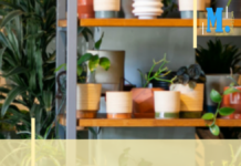 Du 14 au 16 octobre : marché végétal aux Docks