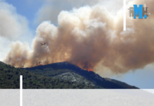 Bouches-du-Rhône : la justice condamne deux incendiaires