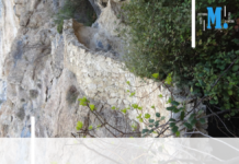 Patrimoine : en Région Sud, six sites soutenus par le Loto de Stéphane Bern