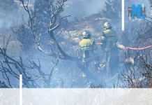 Territoire – La journée nationale des sapeurs-pompiers ce 25 juin