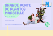 Sorties et loisirs – La grande vente de plantes est de retour à Marseille