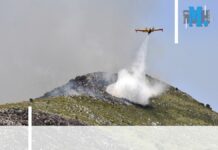 Société – Philippe Roux, le shérif des Canadairs