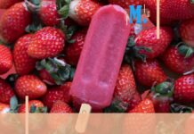 Portrait d’entreprise : Emkipop revisite les bâtonnets glacés