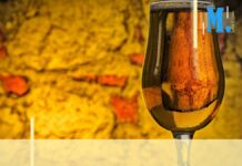 Sorties et loisirs – 5 lieux où boire une bière à Marseille
