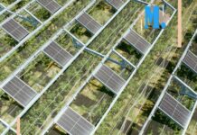 Économie – Une nouvelle page s’écrit pour Ombrea