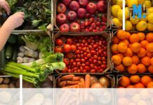 Société – Le Vieux-Port va accueillir un marché alimentaire