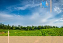 Économie – La Métropole met à disposition des terres agricoles