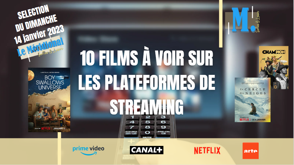 Sorties et loisirs – 10 films à voir sur les plateformes de streaming