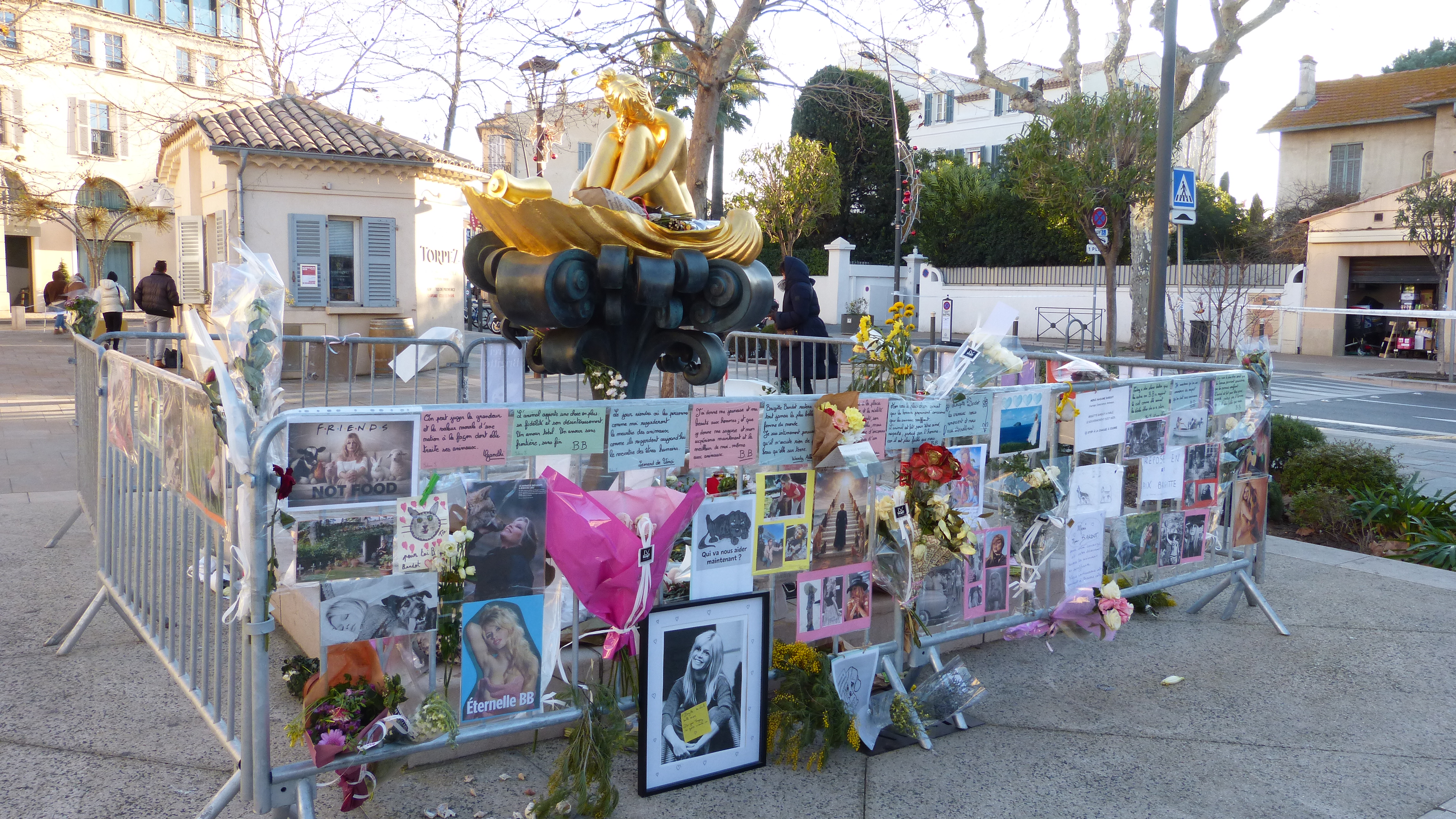 Brigitte Bardot repose face à la mer